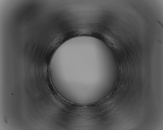 X0000093220550200709261448