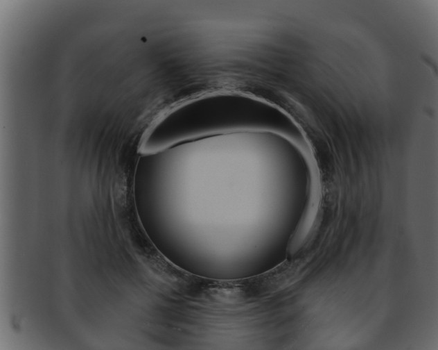 X0000093220552200709261448