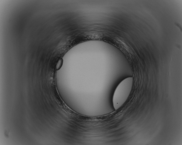 X0000093220553200709261448