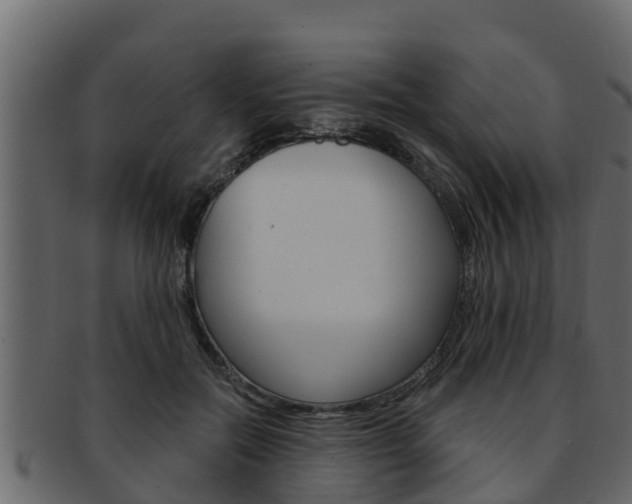 X0000093220554200709261448