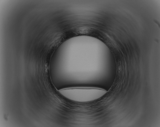 X0000093220555200709261448
