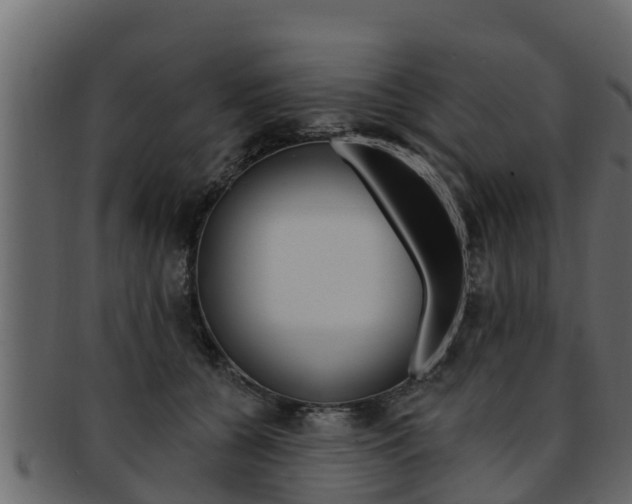 X0000093220560200709261448
