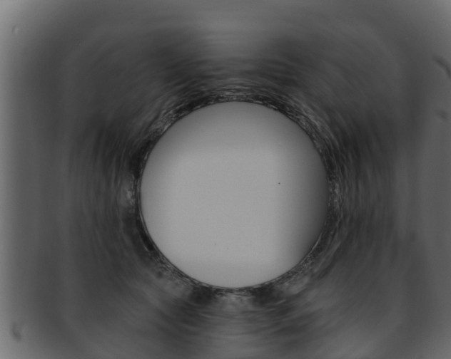 X0000093220561200709261448