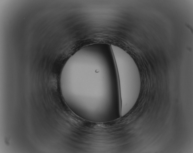 X0000093220562200709261448