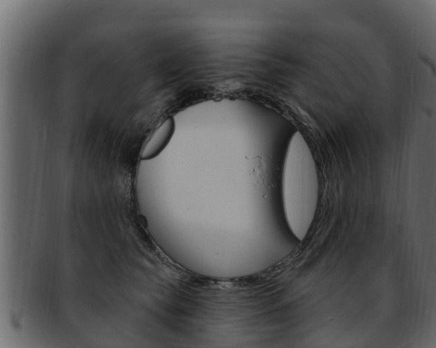 X0000093220565200709261448