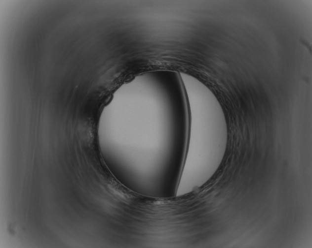 X0000093220566200709261448