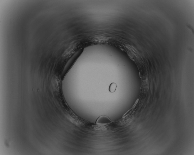 X0000093220572200709261448