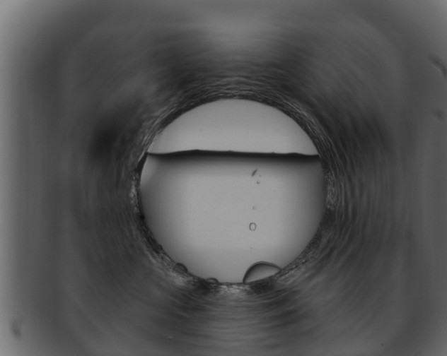 X0000093220573200709261448
