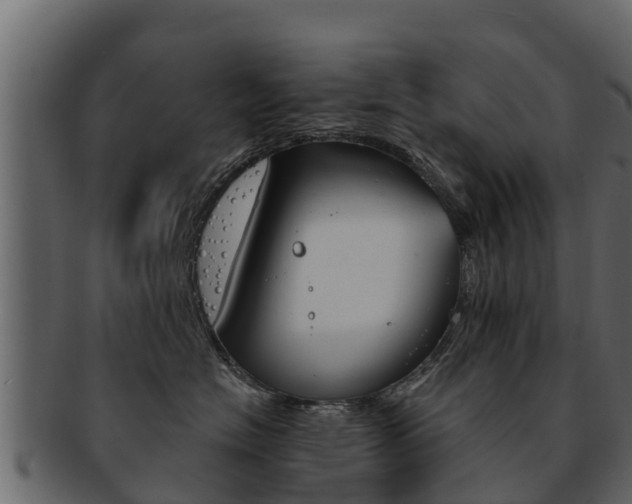 X0000093220574200709261448