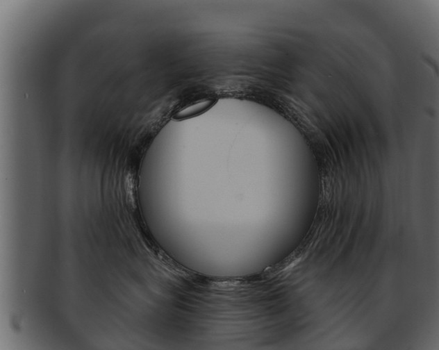 X0000093220575200709261448