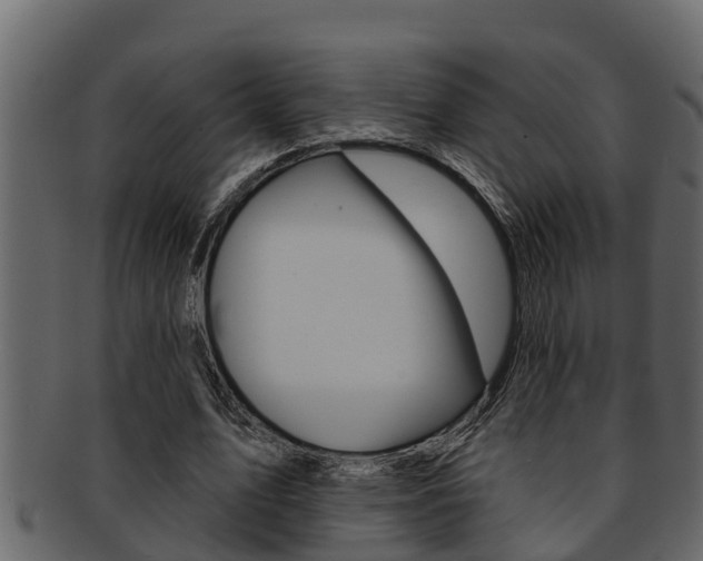 X0000093220583200709261448