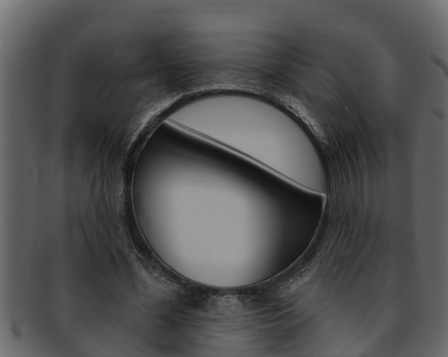 X0000093220588200709261448