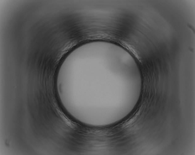 X0000093220589200709261448