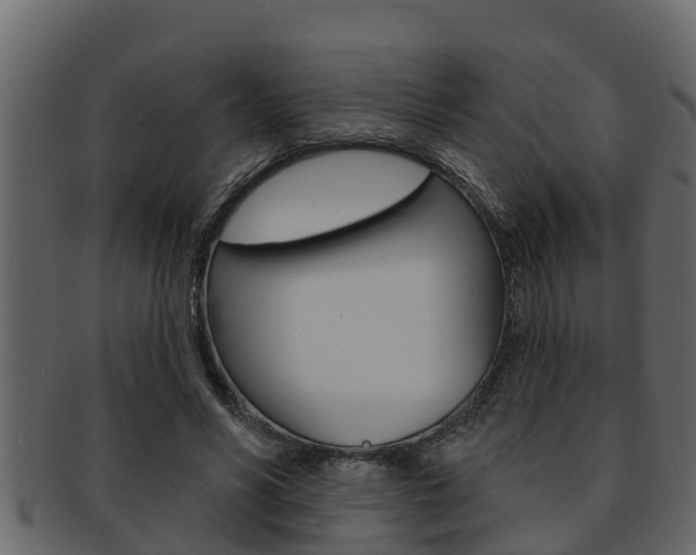 X0000093220590200709261448