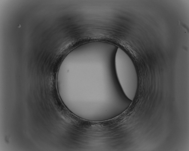 X0000093220591200709261448