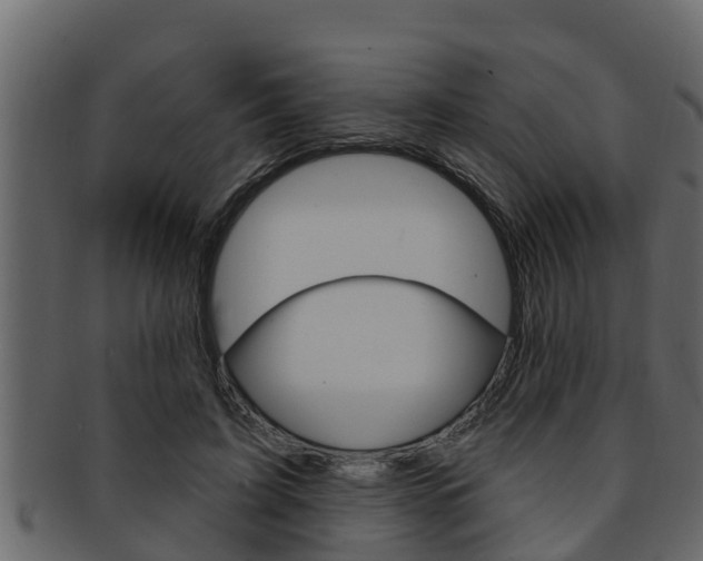 X0000093220595200709261448