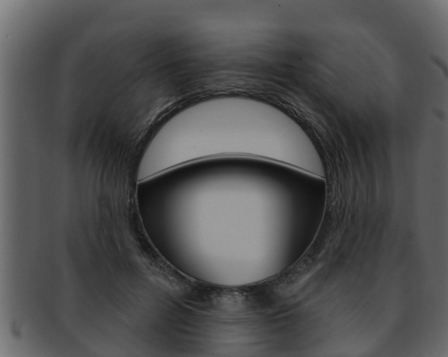 X0000093220600200709261448