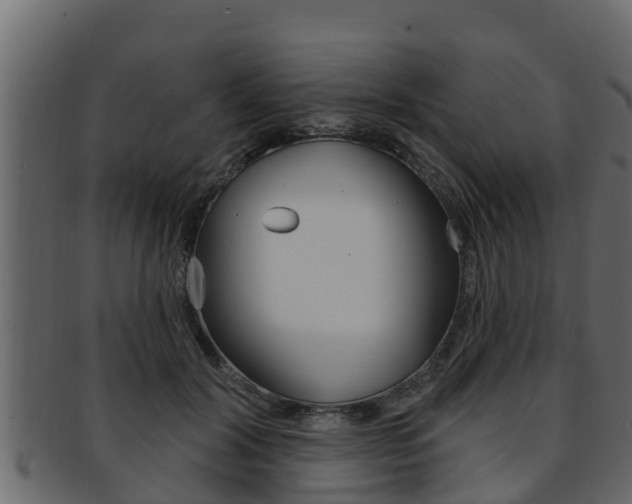 X0000093220604200709261448