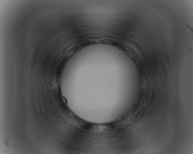 X0000093220607200709261447