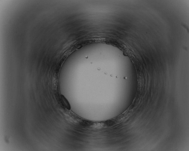 X0000093220609200709261447