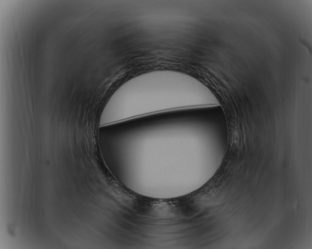 X0000093220616200709261447