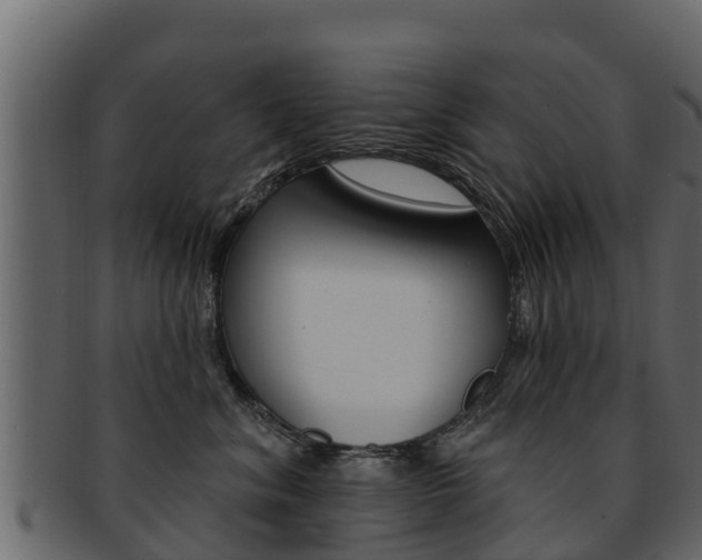 X0000093220620200709261447