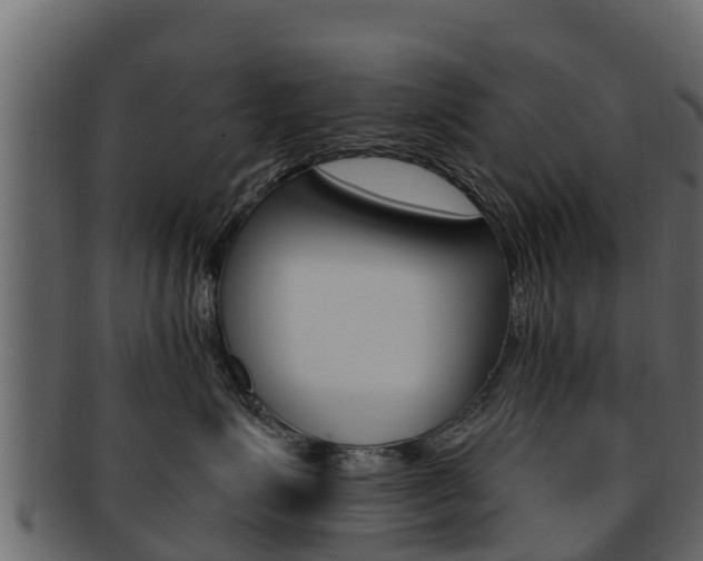 X0000093220623200709261447