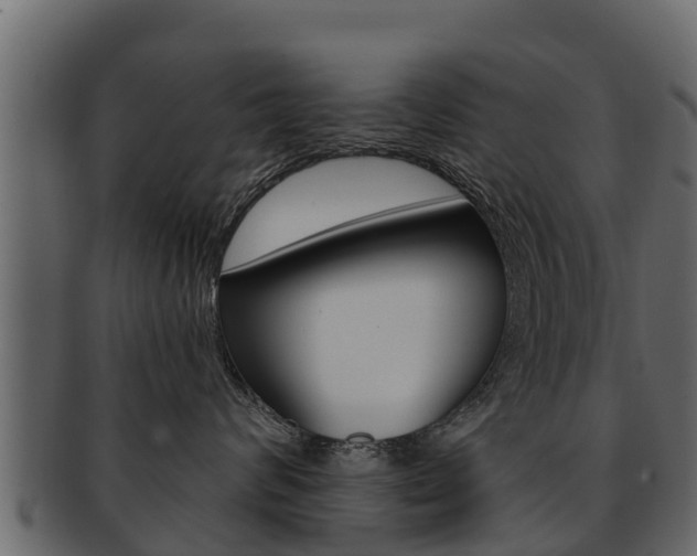 X0000093220624200709261447