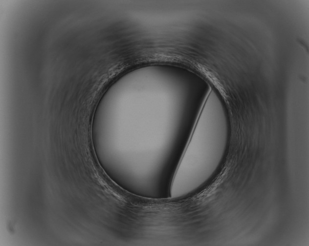 X0000093220625200709261446