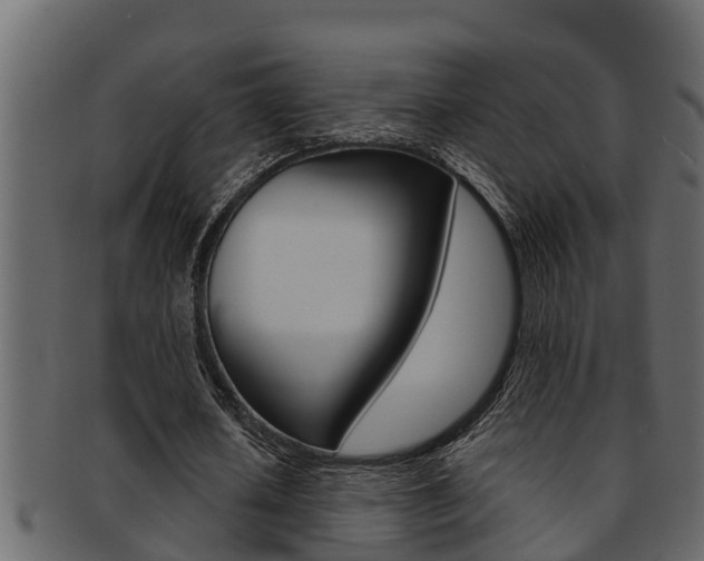X0000093220626200709261446