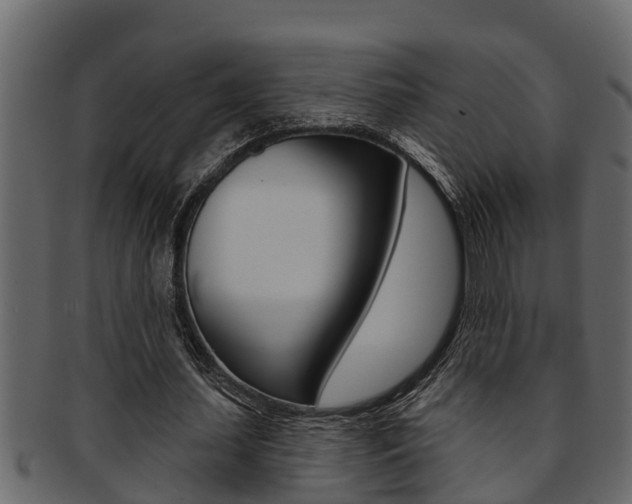 X0000093220627200709261446
