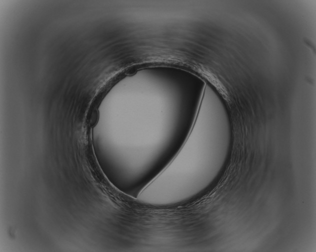 X0000093220628200709261446