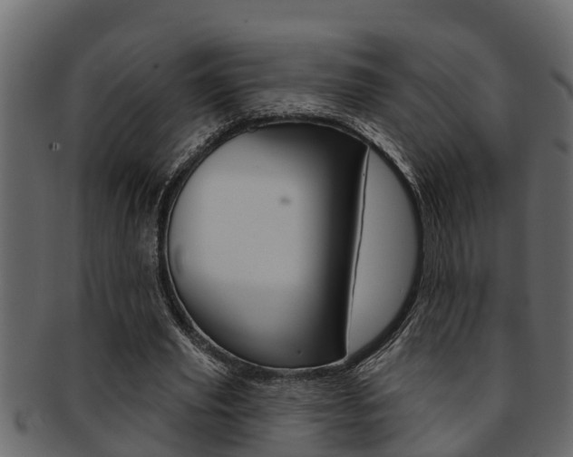 X0000093220629200709261446