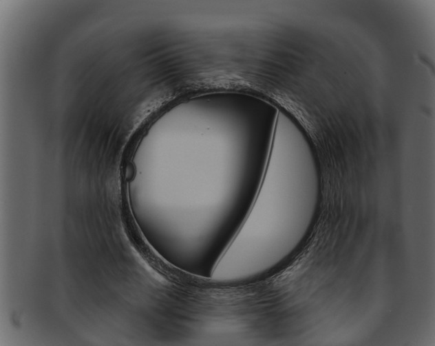 X0000093220630200709261446
