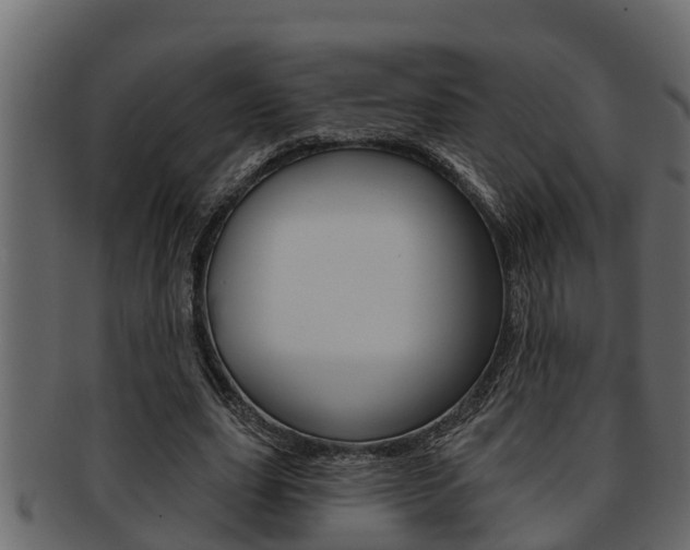 X0000093220631200709261446