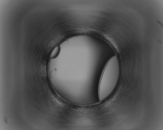 X0000093220633200709261446