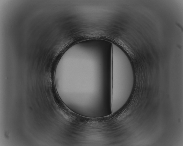 X0000093220634200709261446