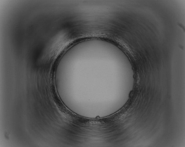 X0000093220636200709261446