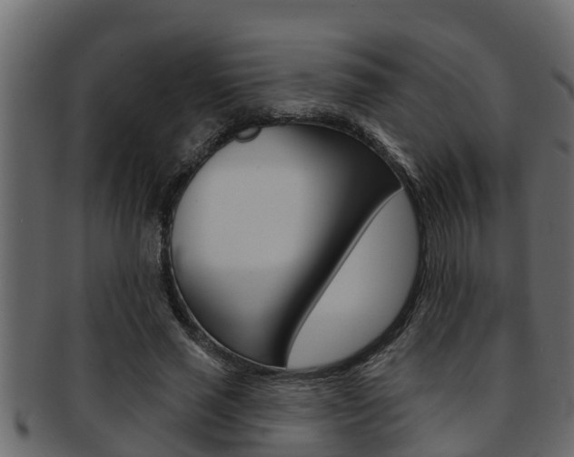X0000093220637200709261447