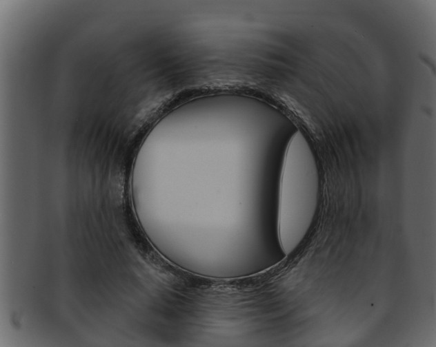 X0000093220640200709261447