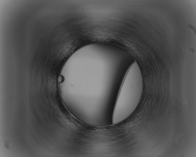 X0000093220642200709261447