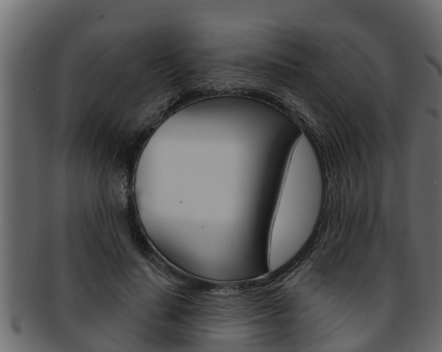 X0000093220644200709261447
