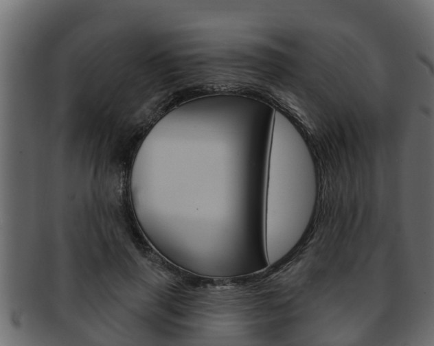 X0000093220645200709261447