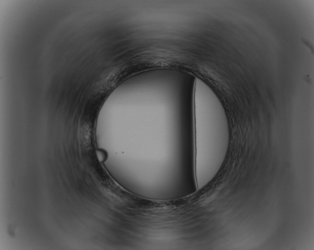 X0000093220646200709261447