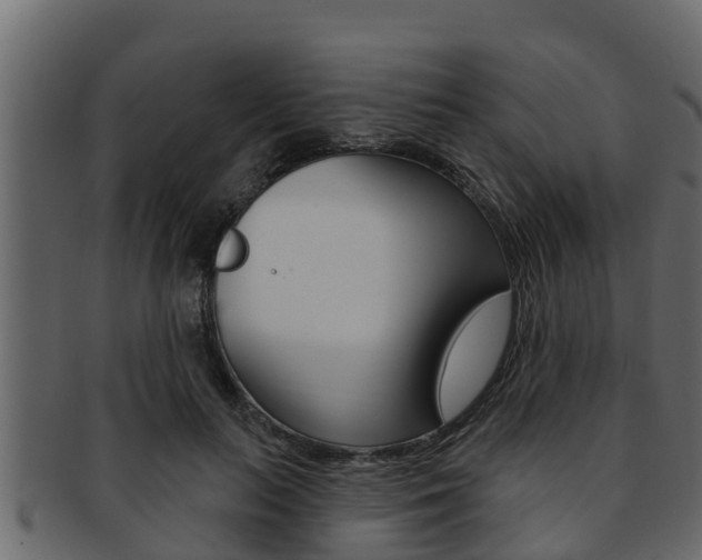 X0000093220647200709261447