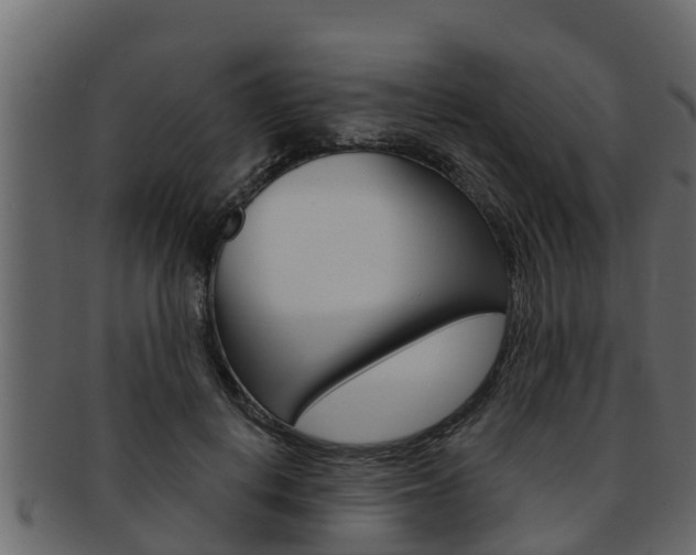 X0000093220648200709261447