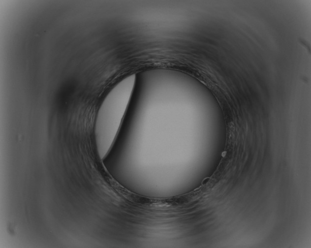 X0000093220650200709261447