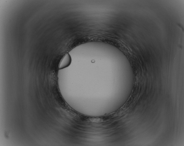 X0000093220659200709261447
