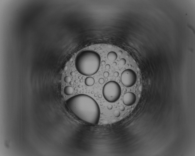 X0000093220665200709261447