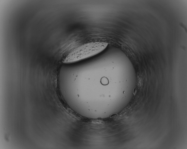 X0000093220666200709261447